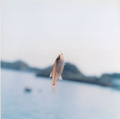 untitled (from the series ‘aila’, 2004),© rinko kawauchi