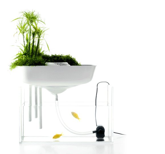 Floating-Garden.jpg Floating-Garden