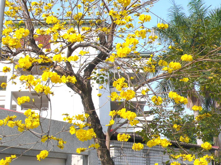 P1200432 P1200432