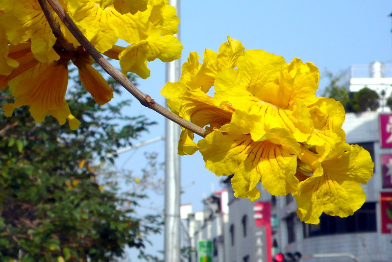 P1200430 P1200430