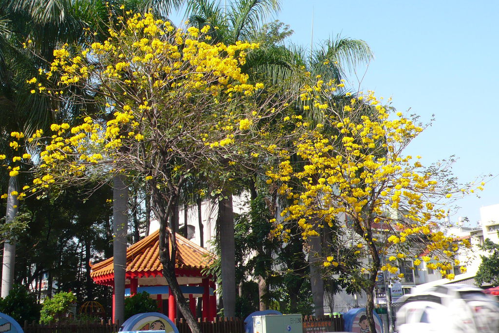 P1200472 P1200472