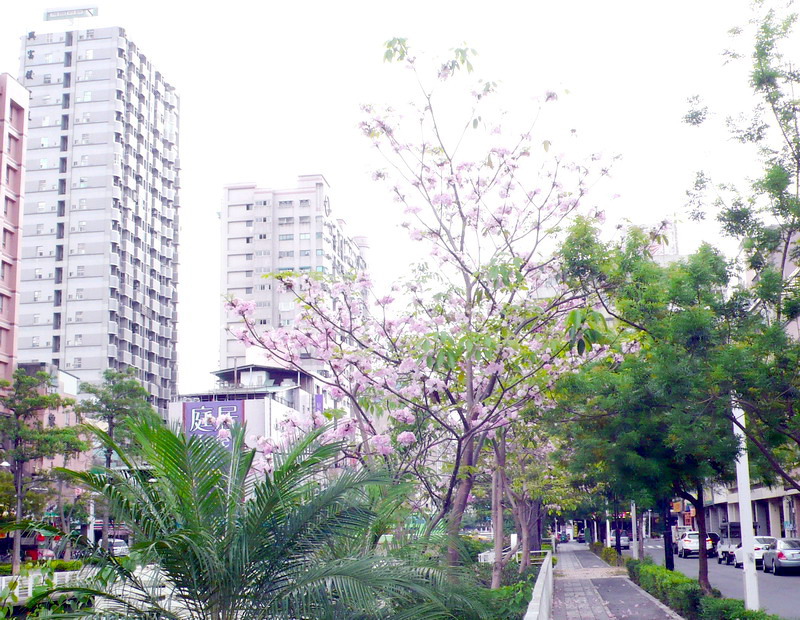 P1200738 P1200738