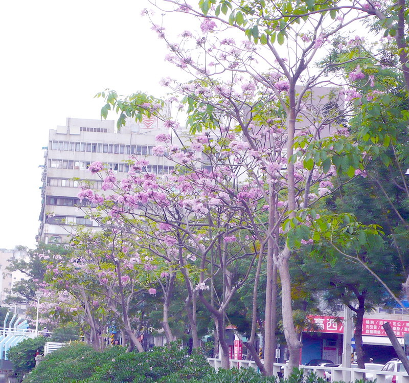 P1200734 P1200734