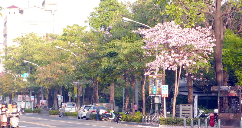 P1200606 P1200606