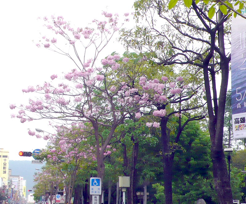 P1200742 P1200742