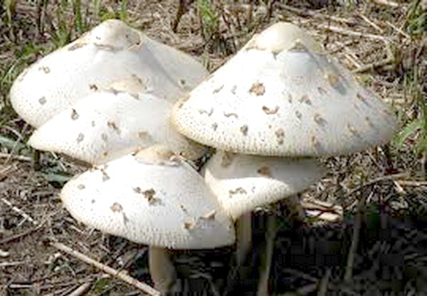 images (1) images (1)