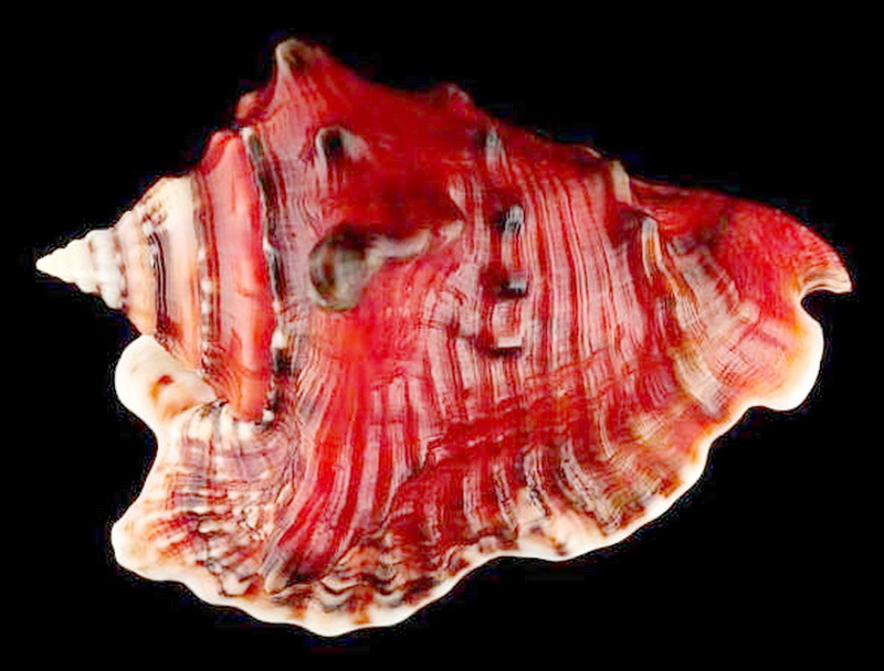 2015-08-20_194001 2015-08-20_194001