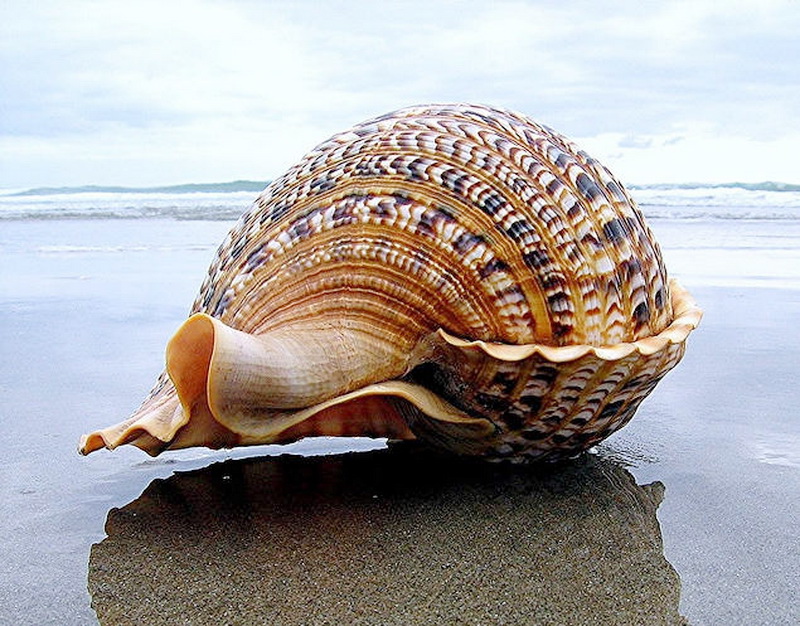 2015-08-20_192002 2015-08-20_192002