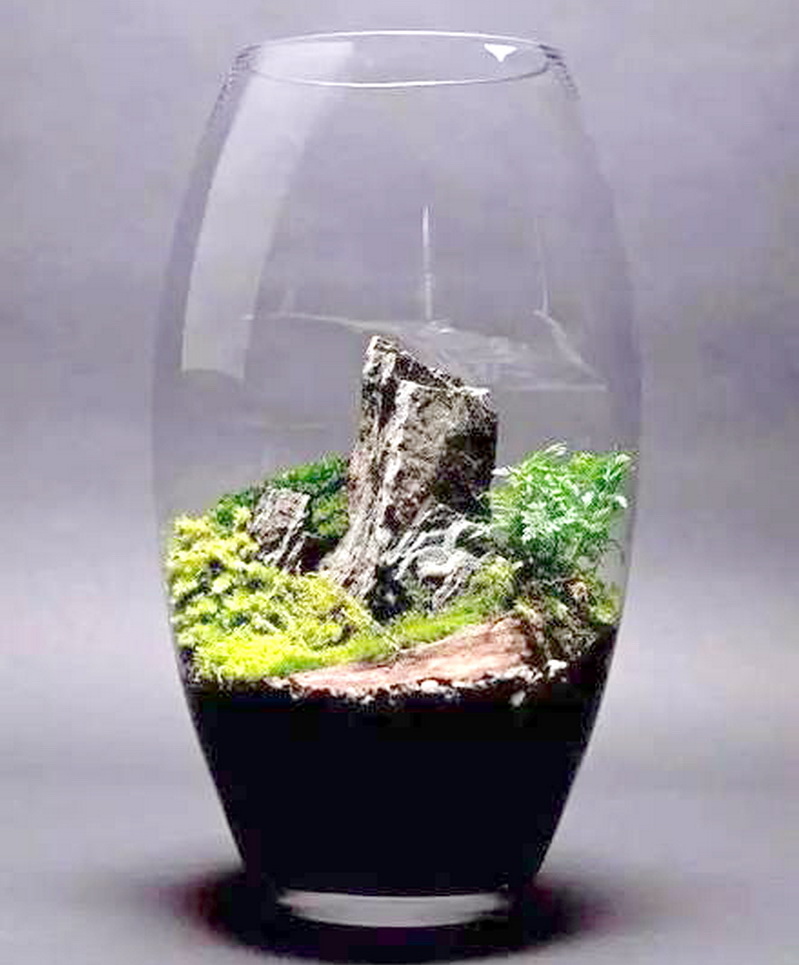 玻璃內盆景 玻璃內盆景