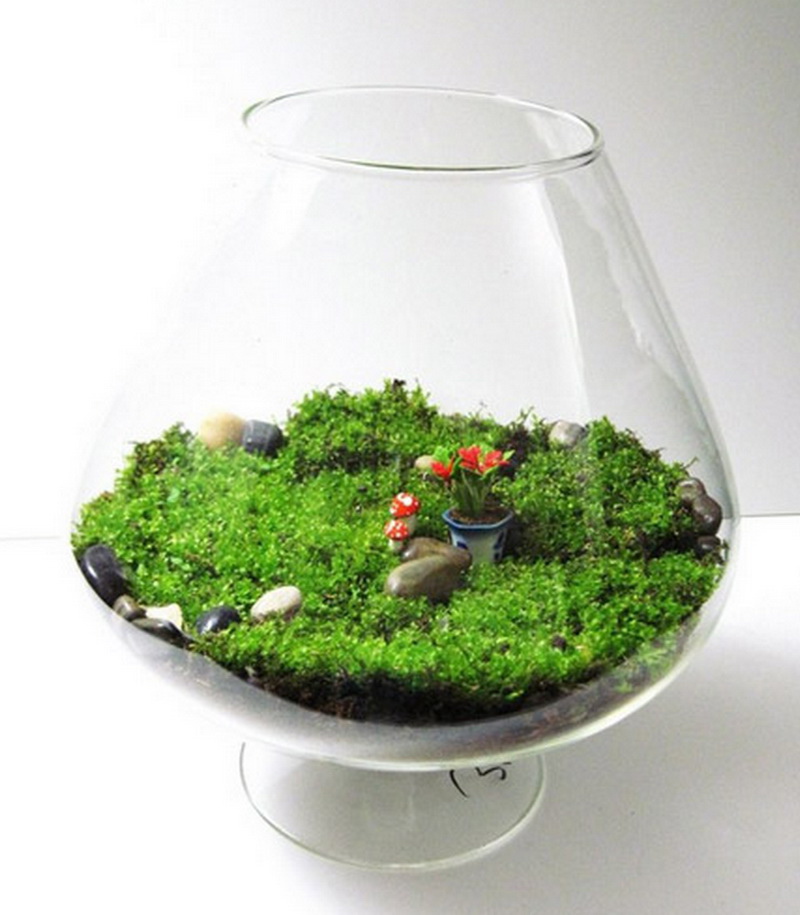 Fairy-Garden-Terrarium-22 Fairy-Garden-Terrarium-22