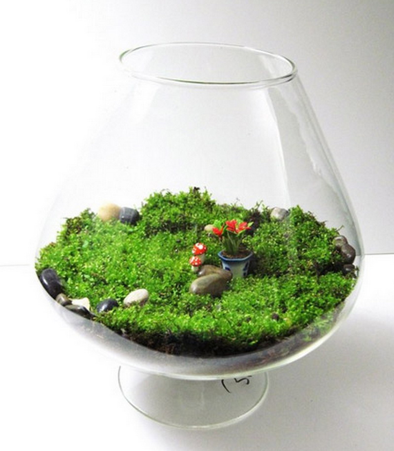 Fairy-Garden-Terrarium-22