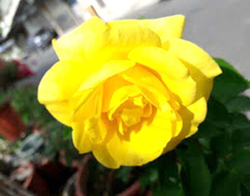 20181029_161650.jpg 20181029_161650.jpg