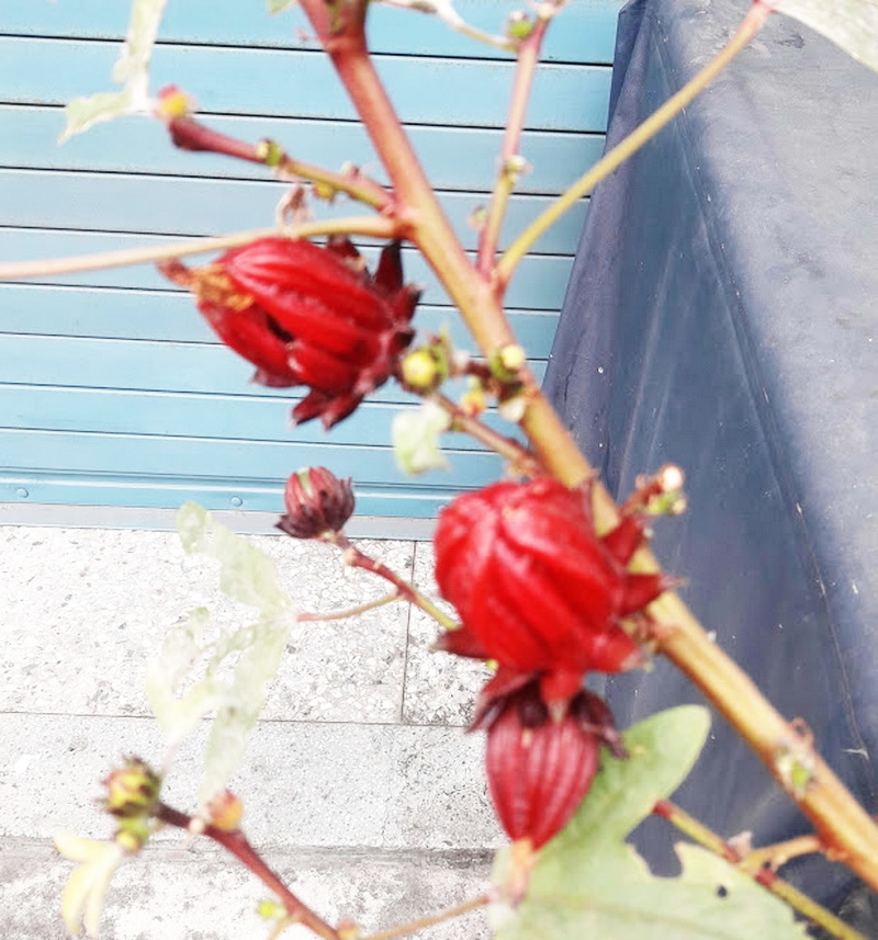 20190224_155716.jpg 20190224_155716.jpg
