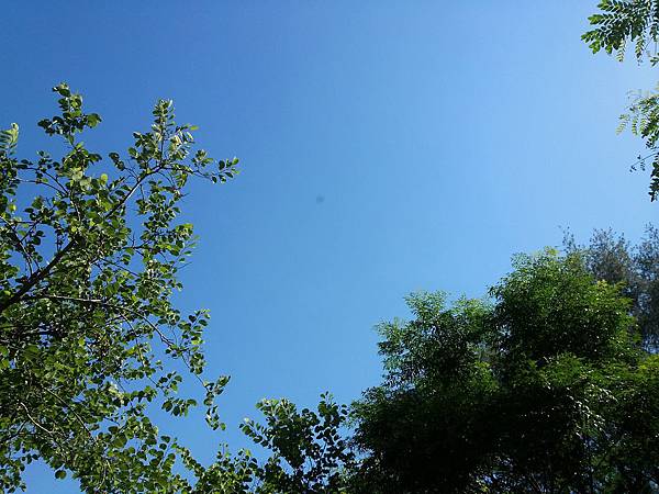 20130609_142213.jpg