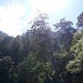 20130711_093530.jpg