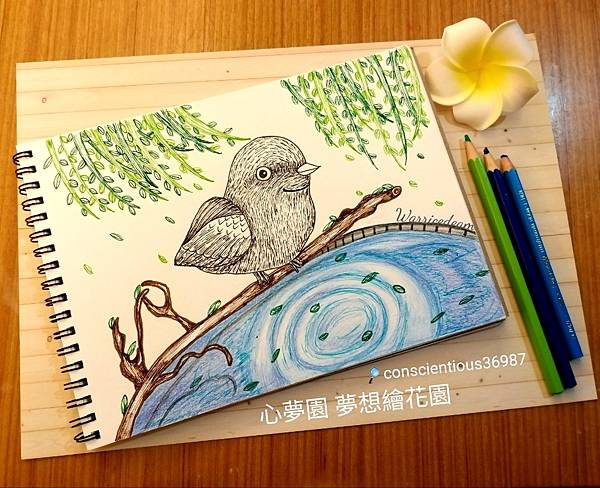 WaterMark_2019-03-24-19-20-25.jpg WaterMark_2019-03-24-19-20-25.jpg