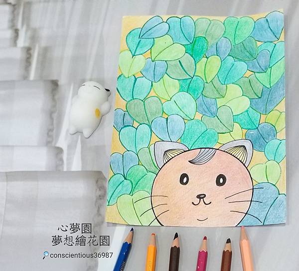 WaterMark_2019-07-02-17-12-23.jpg WaterMark_2019-07-02-17-12-23.jpg
