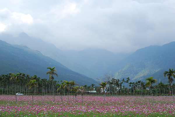 DSC_2062.JPG DSC_2062.JPG