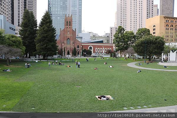 這種天氣很適合躺在草地上就睡著了