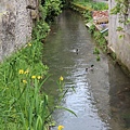 IMG_1399.jpg