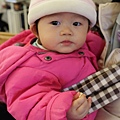 IMG_1824.jpg