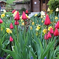 IMG_2020.jpg