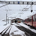 IMG_2534.jpg