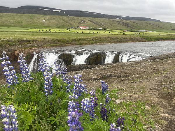 巨人峽谷Kolugljúfur及Hvítserkur犀牛石 Day 3-2 2024.7.9 冰島-Kolugljúfu