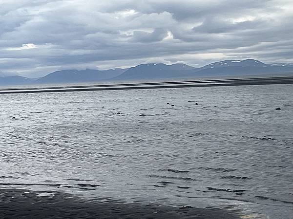 Day 3-2 2024.7.9 冰島-Kolugljúfu Day 3-2 2024.7.9 冰島-Kolugljúfu