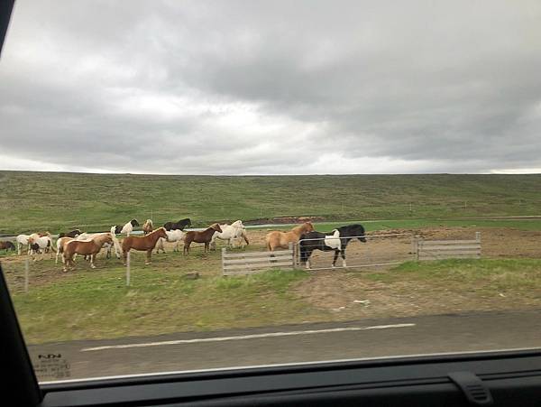 Day 3-2 2024.7.9 冰島-Kolugljúfu Day 3-2 2024.7.9 冰島-Kolugljúfu