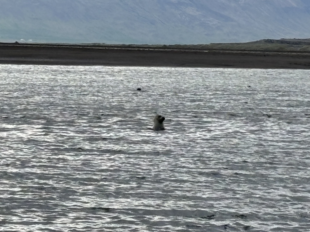 Day 3-2 2024.7.9 冰島-Kolugljúfu Day 3-2 2024.7.9 冰島-Kolugljúfu