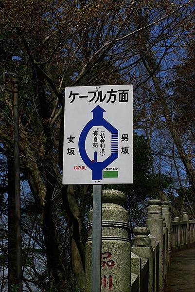 P1060379.JPG