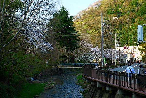 P1060477.JPG