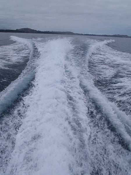 P2130051.JPG P2130051.JPG