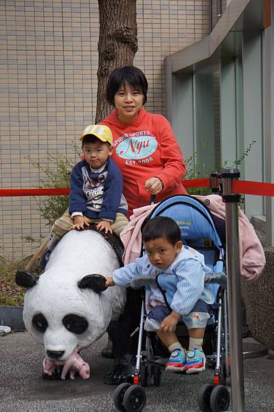 taipei zoo 4