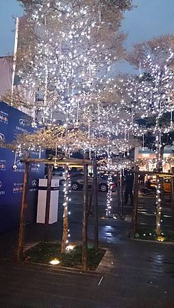 102.12.13台北市感受耶誕氣氛2 102.12.13台北市感受耶誕氣氛2