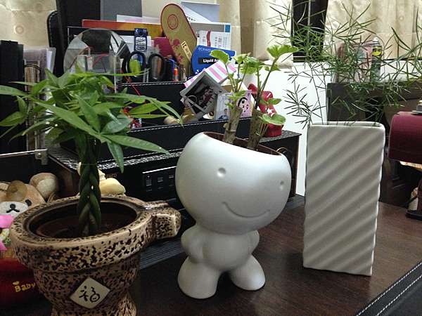 Nick易開罐 植物 花卉 Nick 伊呷伊等於餓 痞客邦 Nick易開罐 植物 花卉 Nick 伊呷伊等於餓 痞客邦