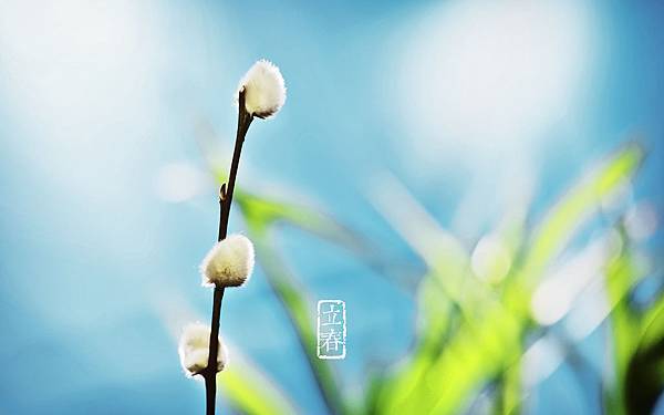 文案撰寫 專欄 橙花想紅節氣說 立春 飛老師 日常 文案撰寫 專欄 橙花想紅節氣說 立春 飛老師 日常