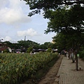 20110815 111.JPG