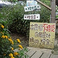 20110815 147.JPG