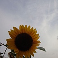 20110815 198.JPG