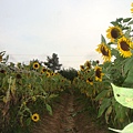 20110815 208.JPG