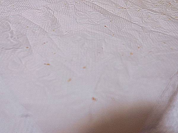 IMG_6454.JPG IMG_6454.JPG