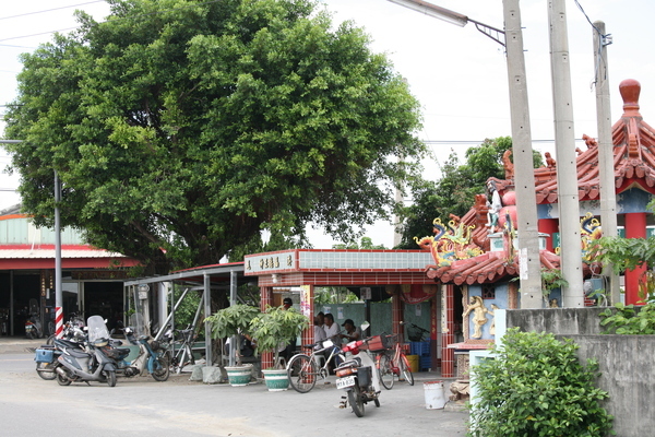 小時候,阿公常騎著腳踏車載著我們到土地公廟看阿公阿伯們下棋...