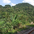 烏來-台車-沿路風景-05.JPG