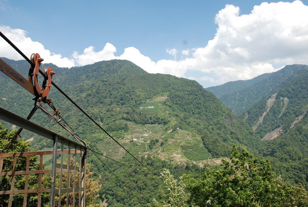 梨山天府茶區