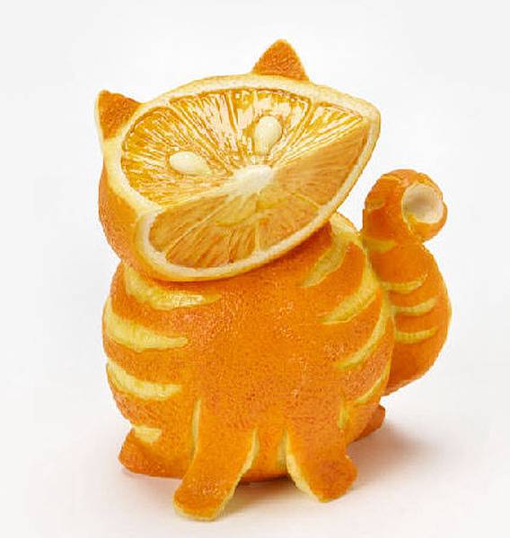 orange-tabby-cat