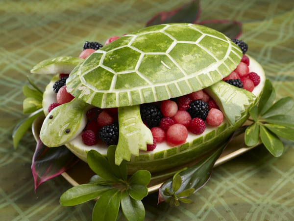 watermelon-turtle