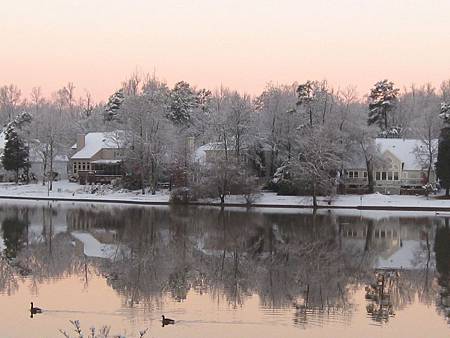 snow and duck