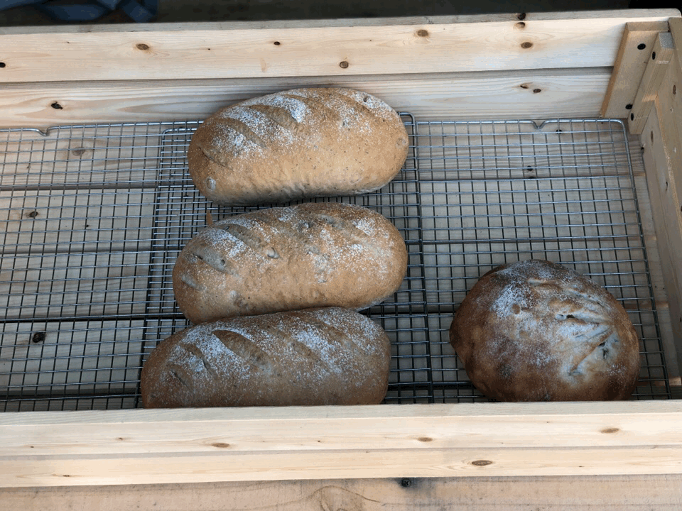 【南投住宿】魚樂魚池 背包客棧 ￭ 魚光窯烤 手作麵包 x 包含免費早餐、鄰近日月潭║南投青年旅館推薦、南投背包客棧推薦、日月潭伴手禮推薦